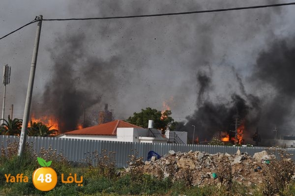 fireludkartoonmasna34 (15).JPG